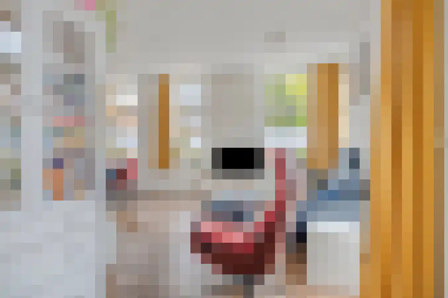 Hoge Hazel 3 Winterswijk thumbnail 8