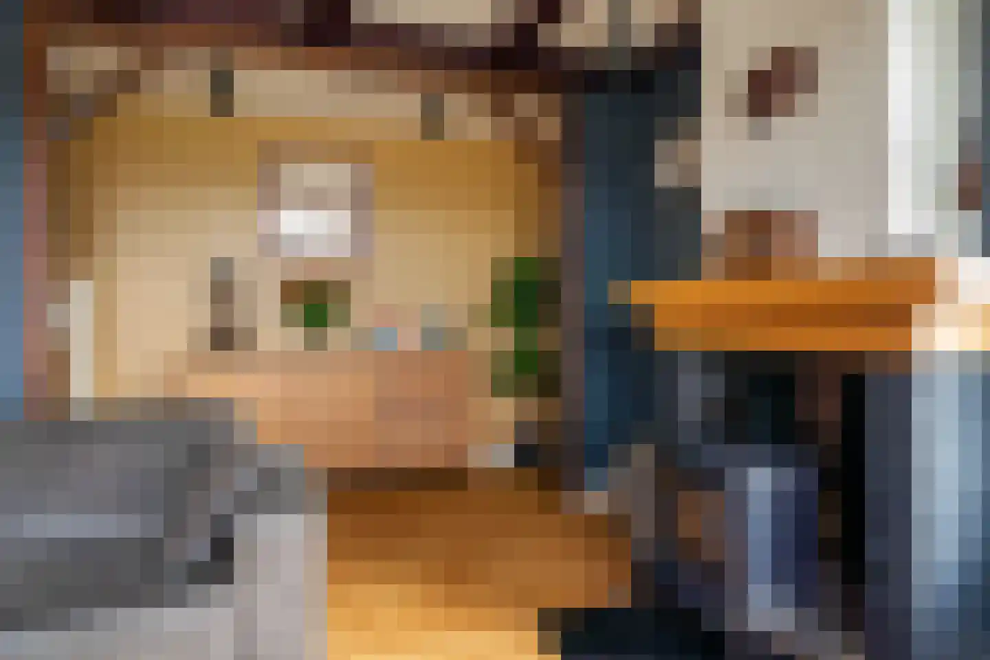Hoge Herenweg 12 Marrum thumbnail 18
