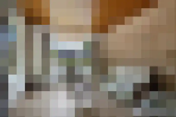 Hoge Hereweg 23 Glimmen thumbnail 10