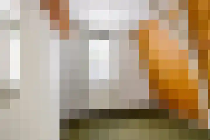 Hoge Hereweg 23 Glimmen thumbnail 21