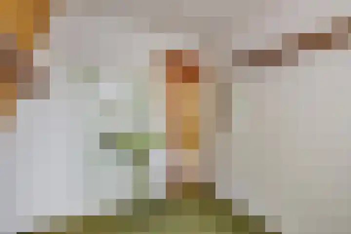 Hoge Hereweg 23 Glimmen thumbnail 22