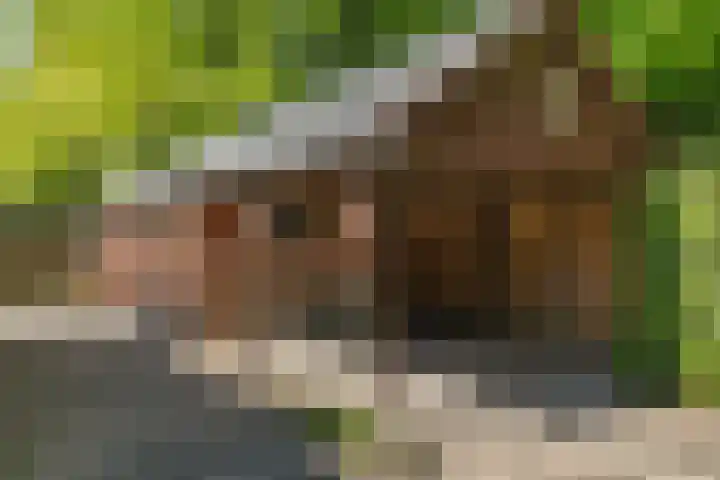 Hoge Hereweg 23 Glimmen thumbnail 23