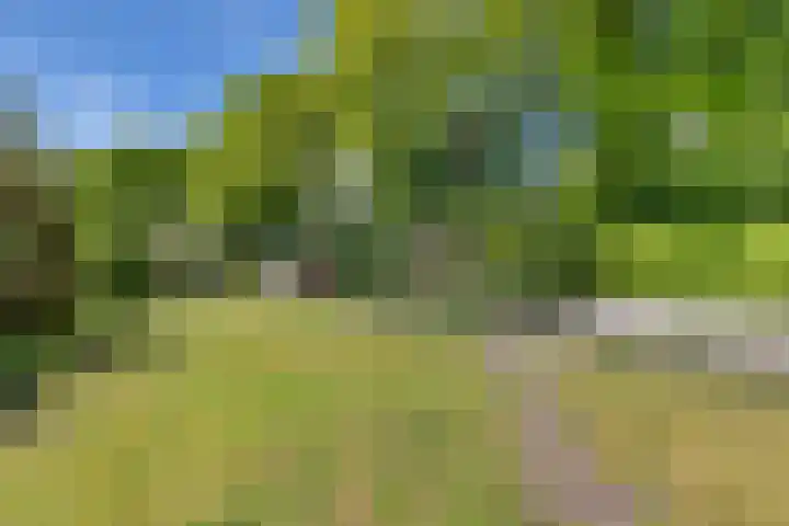 Hoge Hereweg 23 Glimmen thumbnail 26