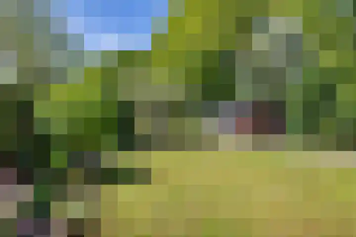 Hoge Hereweg 23 Glimmen thumbnail 27