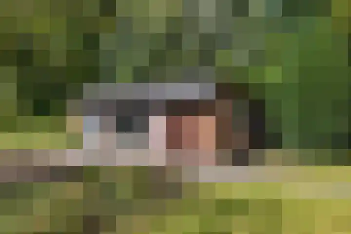 Hoge Hereweg 23 Glimmen thumbnail 28