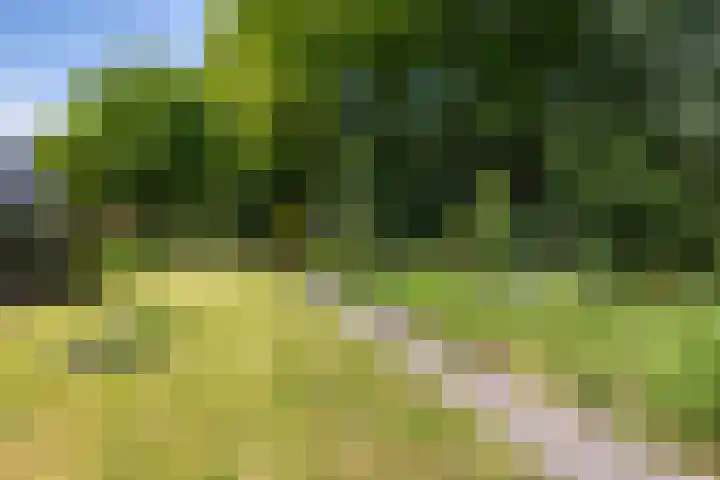 Hoge Hereweg 23 Glimmen thumbnail 29