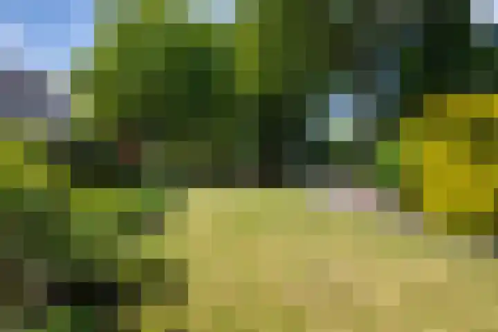 Hoge Hereweg 23 Glimmen thumbnail 30