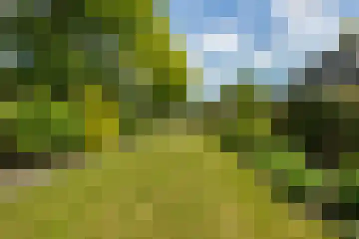 Hoge Hereweg 23 Glimmen thumbnail 31