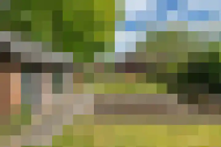Hoge Hereweg 23 Glimmen thumbnail 32