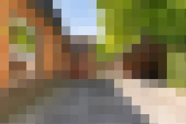 Hoge Hereweg 23 Glimmen thumbnail 4