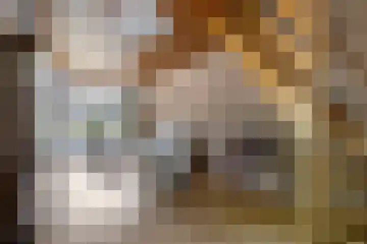 Hoge Hereweg 23 Glimmen thumbnail 8