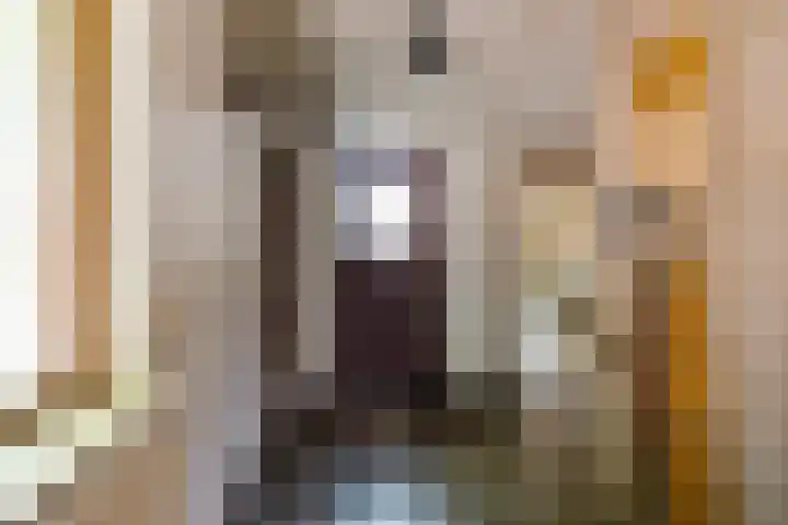 Hoge Hereweg 23 Glimmen thumbnail 9