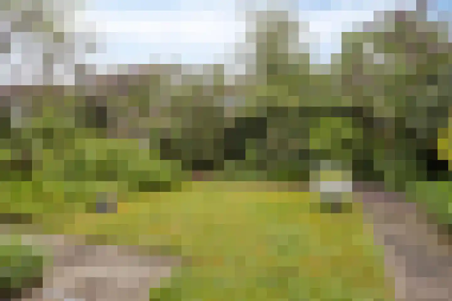 Hoge Hil 8 Breda thumbnail 32