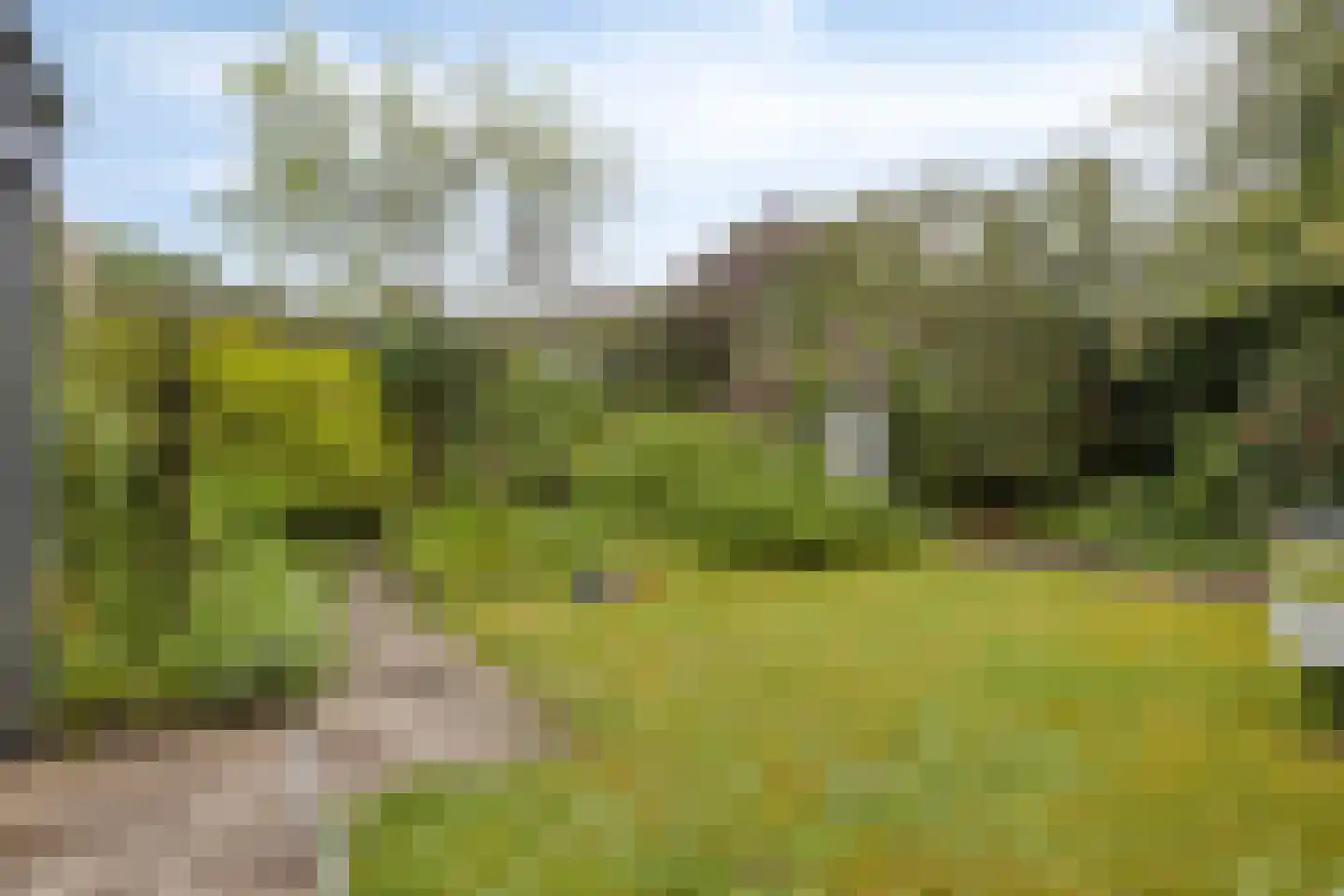 Hoge Hil 8 Breda thumbnail 33