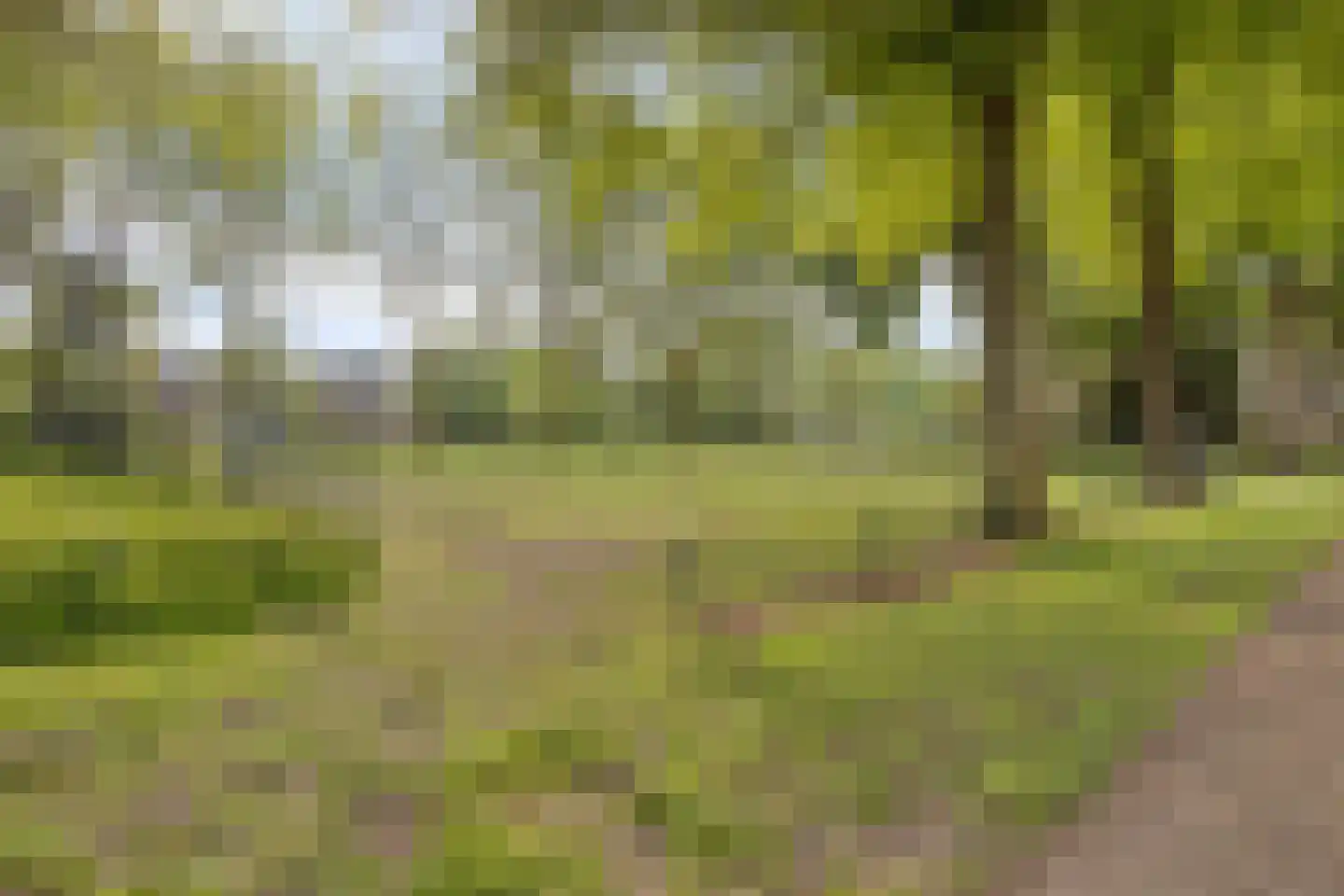 Hoge Hil 8 Breda thumbnail 37