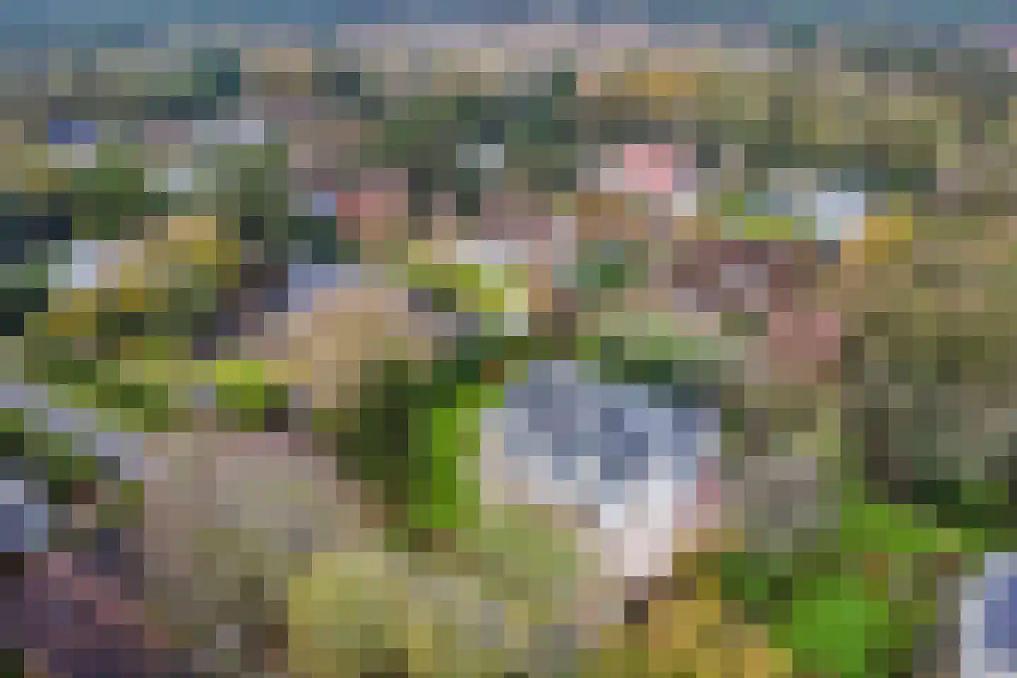 Hoge Hilleweg 12 Burgh-Haamstede thumbnail 30