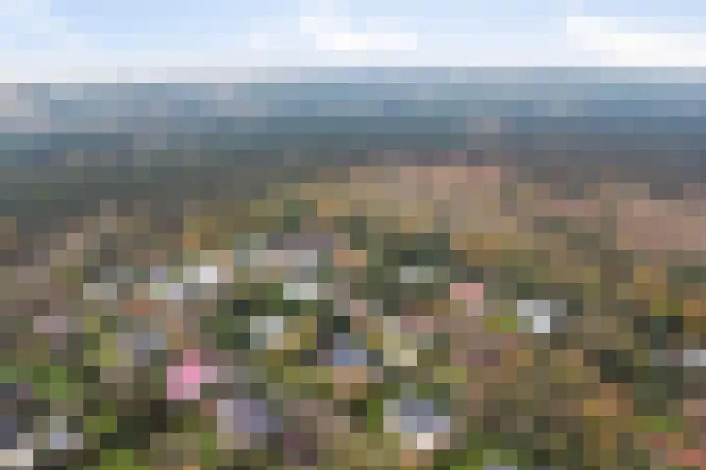 Hoge Hilleweg 12 Burgh-Haamstede thumbnail 32