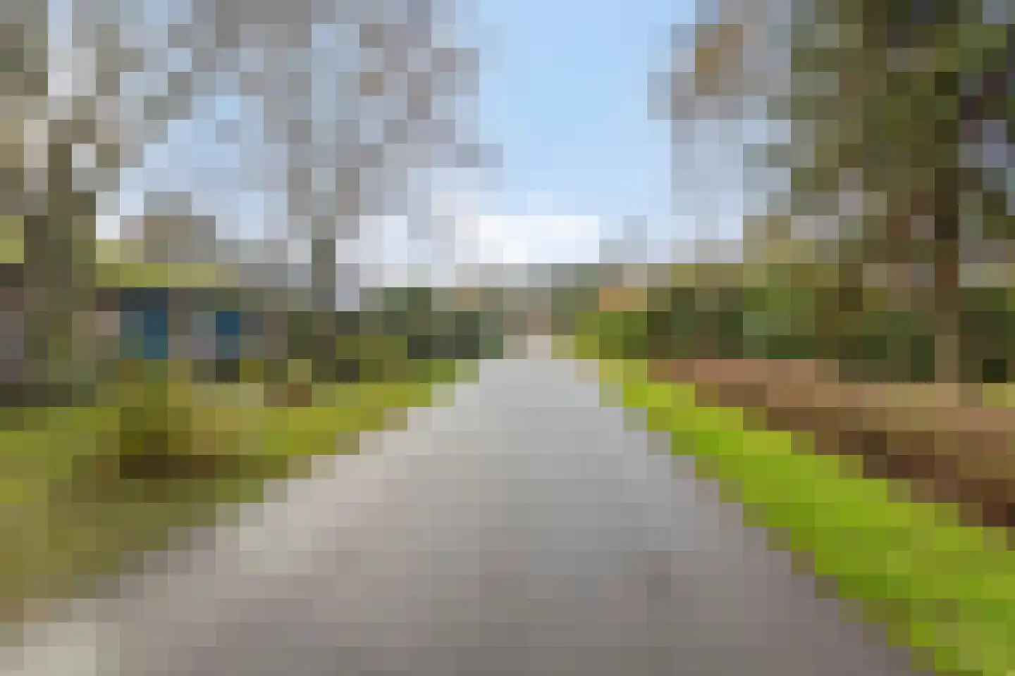 Hoge Hilleweg 12 Burgh-Haamstede thumbnail 35