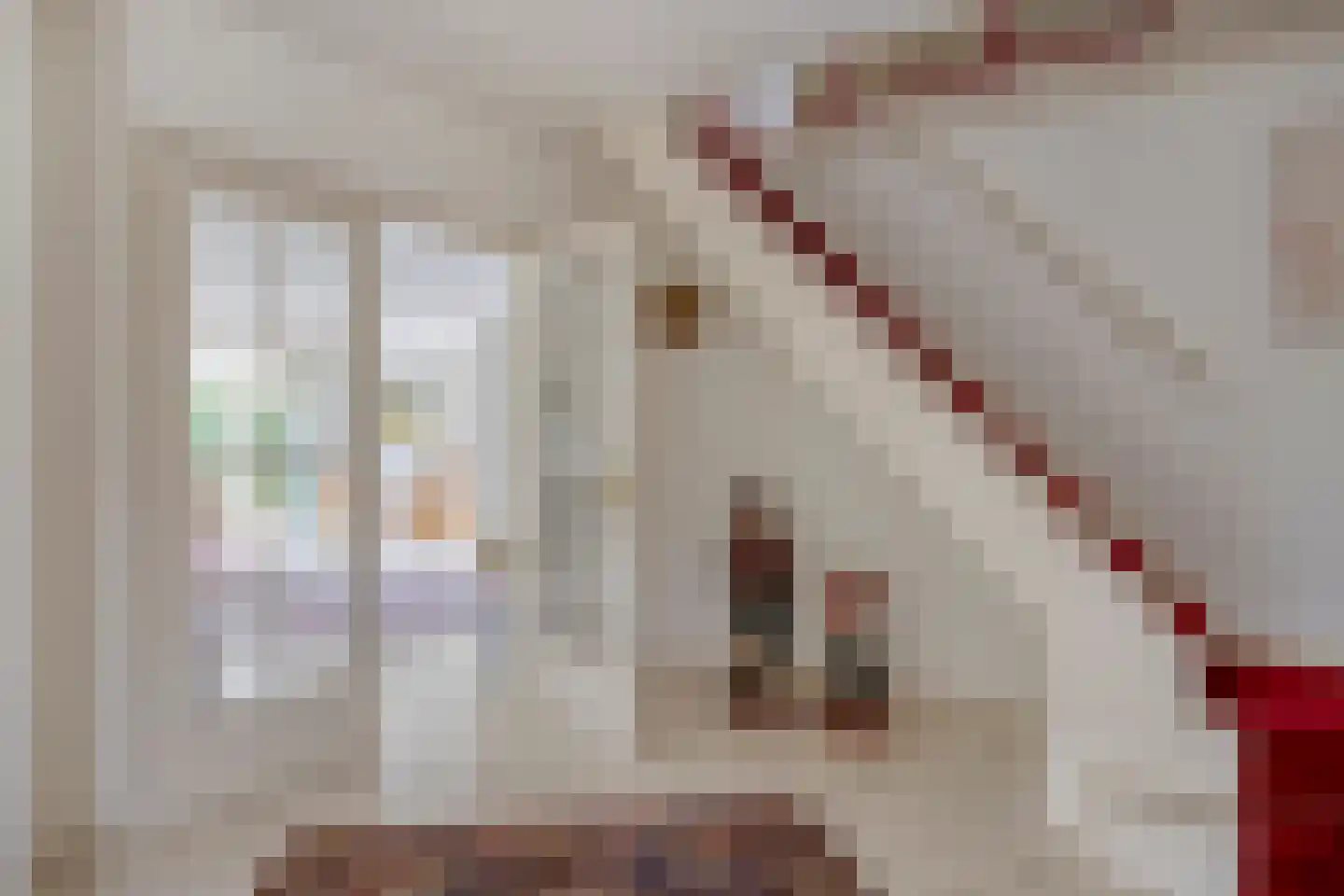 Hoge Hilleweg 12 Burgh-Haamstede thumbnail 5