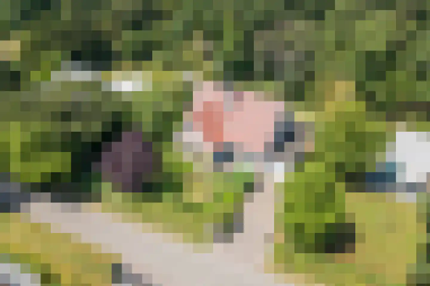 Hoge Hilleweg 37 Burgh-Haamstede thumbnail 34