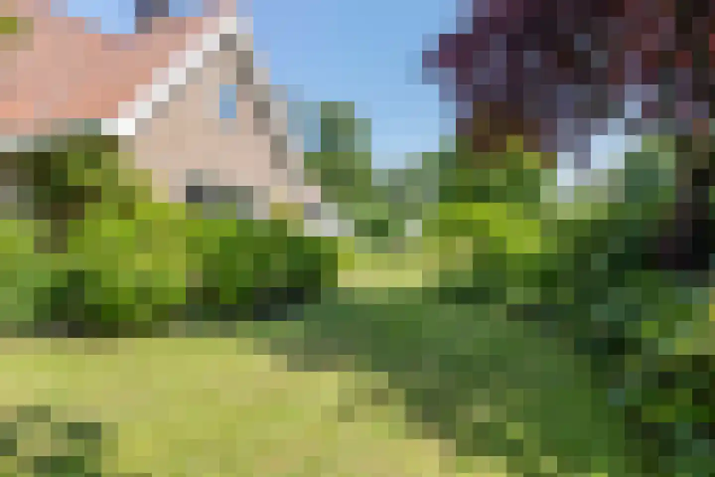 Hoge Hilleweg 37 Burgh-Haamstede thumbnail 36