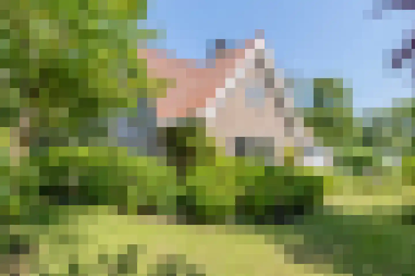 Hoge Hilleweg 37 Burgh-Haamstede thumbnail 4