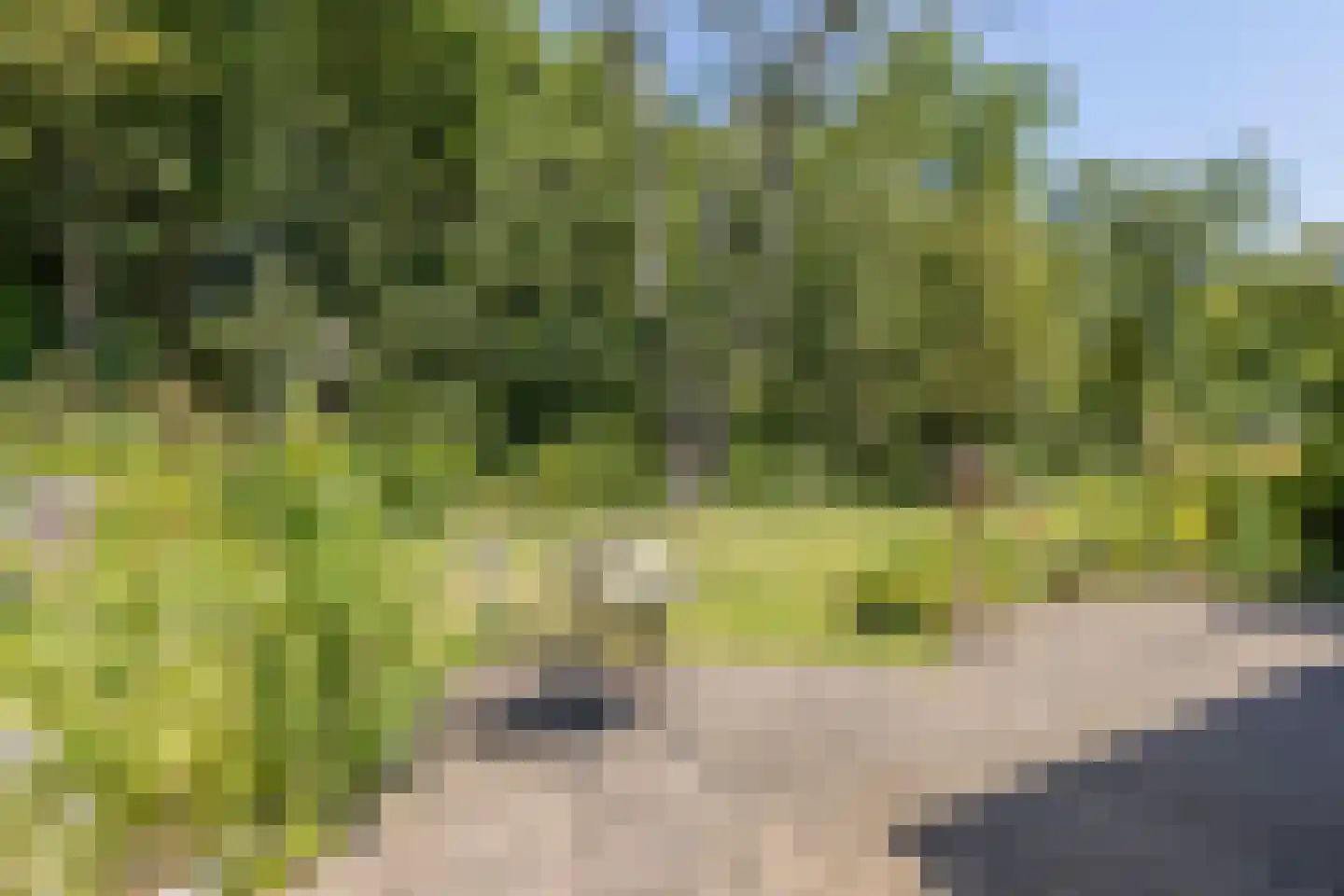 Hoge Hilleweg 37 Burgh-Haamstede thumbnail 42
