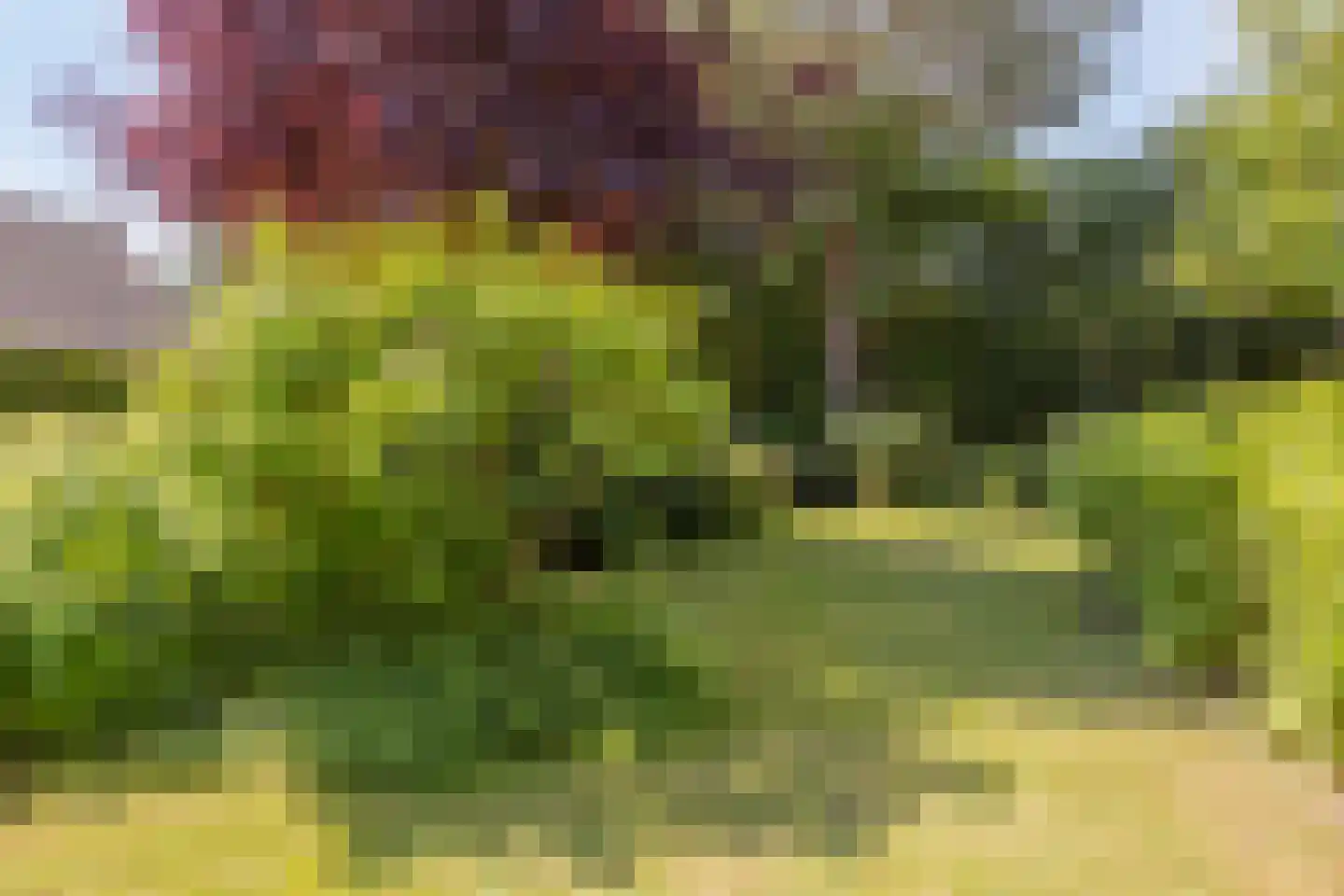 Hoge Hilleweg 37 Burgh-Haamstede thumbnail 43