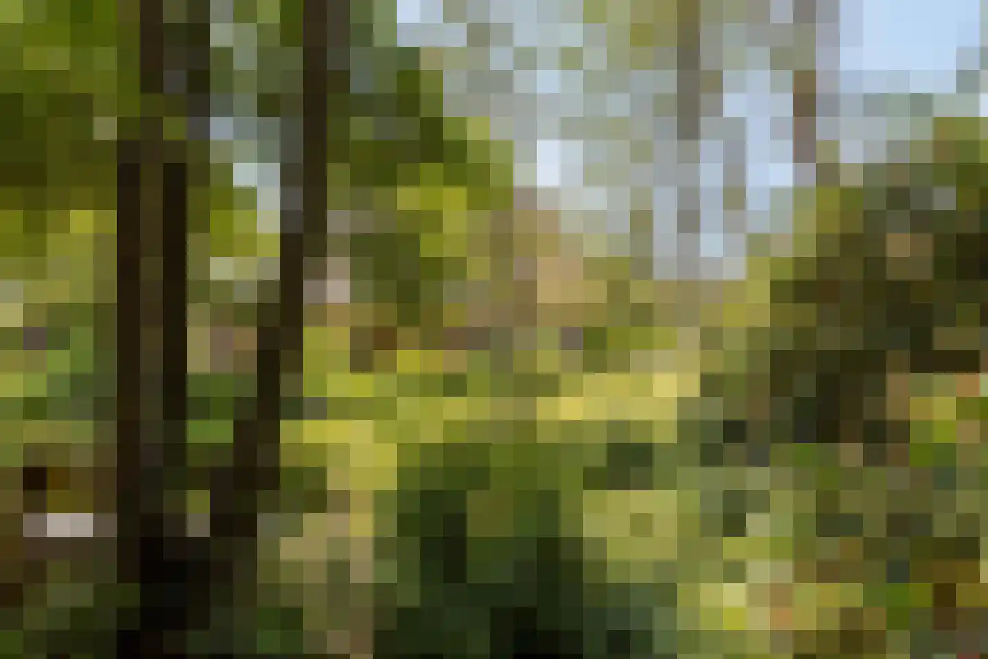 Hoge Hilleweg 37 Burgh-Haamstede thumbnail 48
