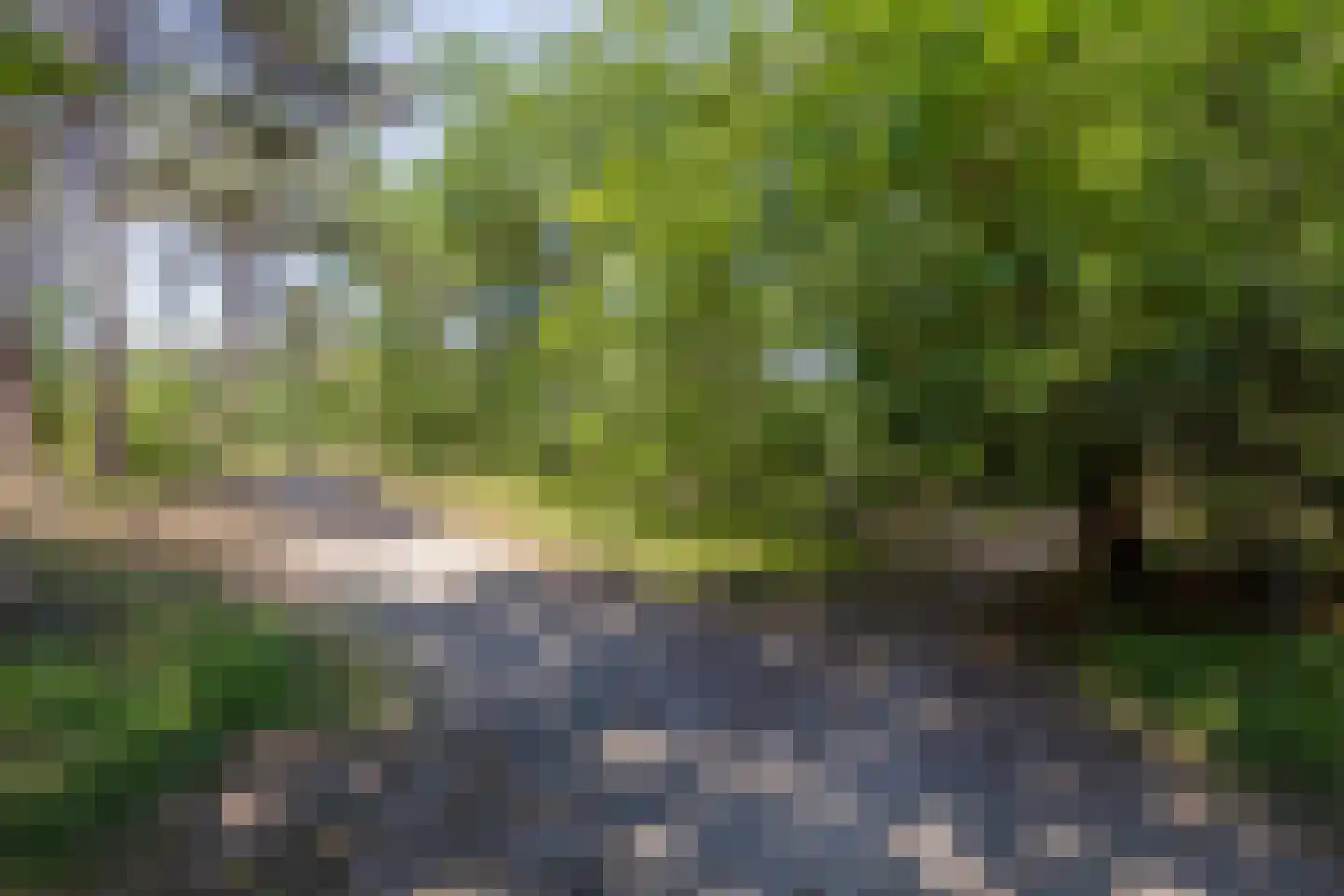 Hoge Hilleweg 37 Burgh-Haamstede thumbnail 49