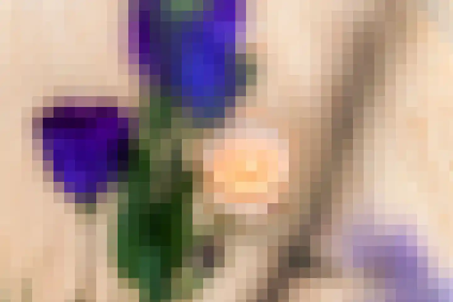 Hoge Hof 12 Kapel Avezaath thumbnail 11