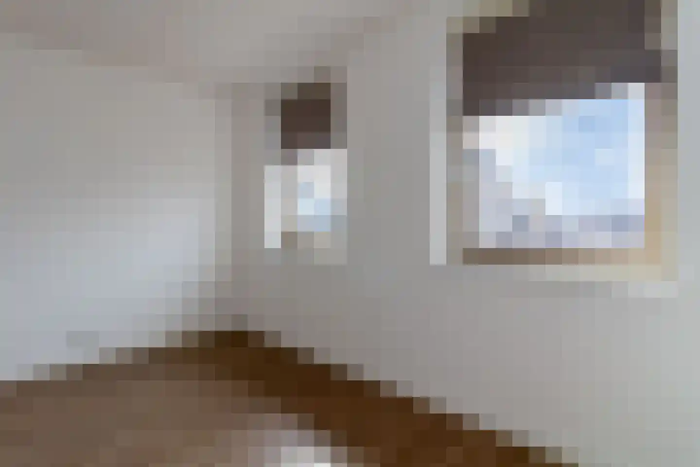 Hoge Hof 29 Bunschoten-Spakenburg thumbnail 17
