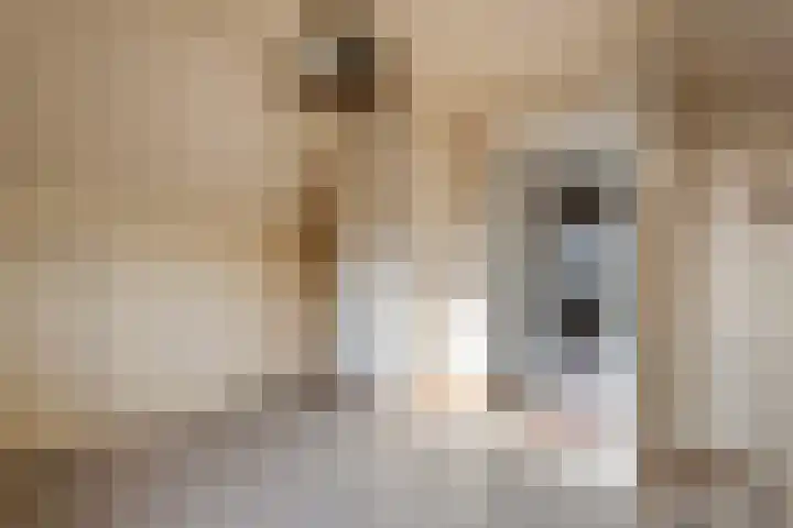 Hoge Hof 4 Kapel Avezaath thumbnail 20