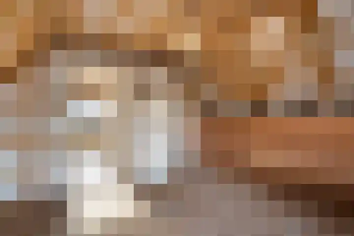 Hoge Hof 4 Kapel Avezaath thumbnail 22