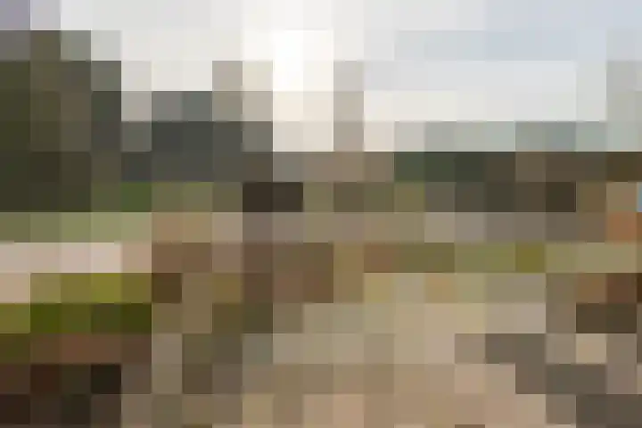 Hoge Hof 4 Kapel Avezaath thumbnail 29