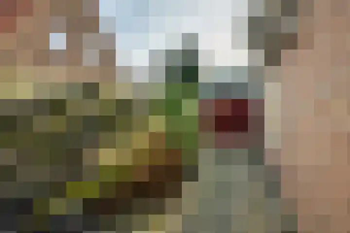 Hoge Hof 4 Kapel Avezaath thumbnail 30