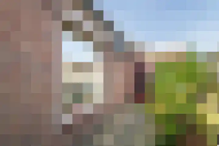 Hoge Hof 4 Kapel Avezaath thumbnail 32