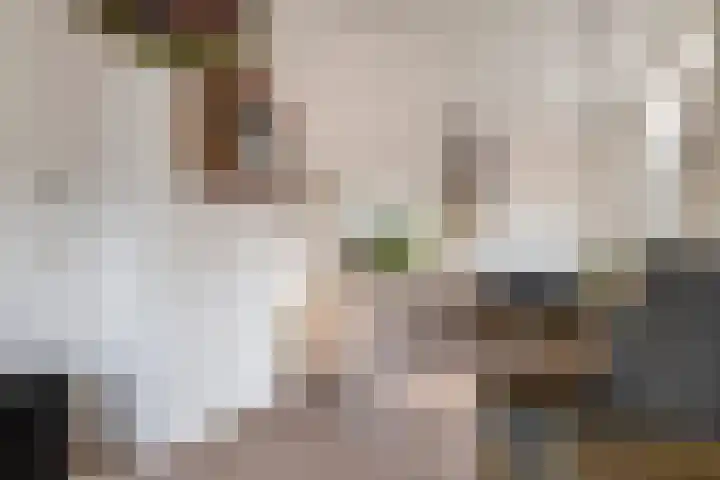 Hoge Hof 4 Kapel Avezaath thumbnail 9