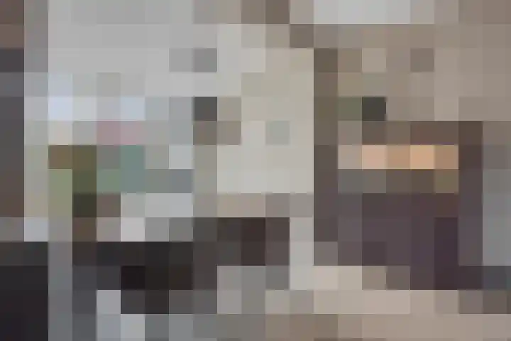 Hoge Hofstraat 3 Dodewaard thumbnail 11