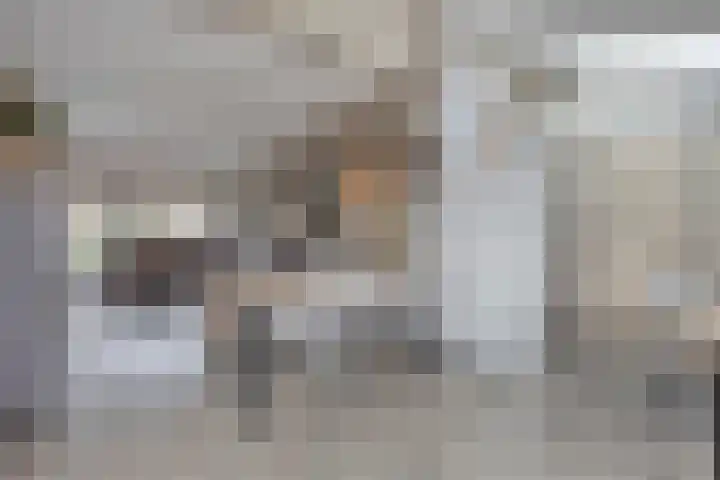 Hoge Hofstraat 3 Dodewaard thumbnail 14
