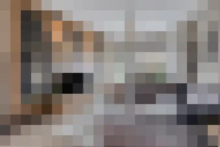 Hoge Hofstraat 3 Dodewaard thumbnail 15