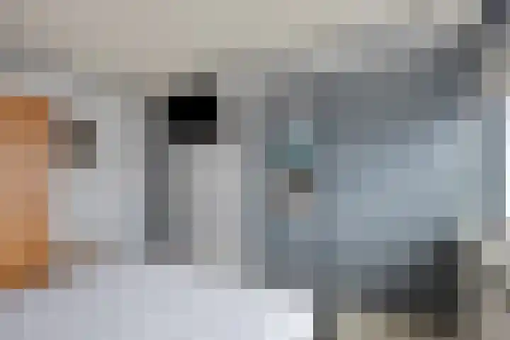 Hoge Hofstraat 3 Dodewaard thumbnail 20