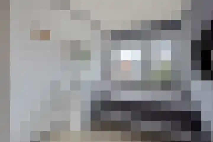 Hoge Hofstraat 3 Dodewaard thumbnail 21