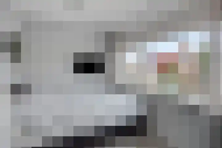 Hoge Hofstraat 3 Dodewaard thumbnail 22