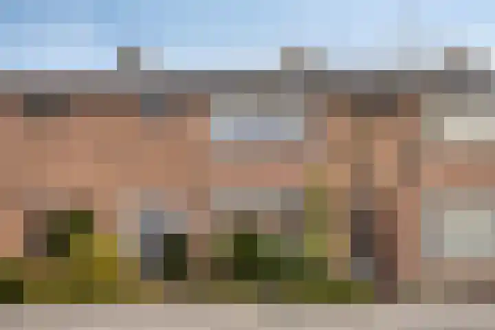 Hoge Hofstraat 3 Dodewaard thumbnail 24