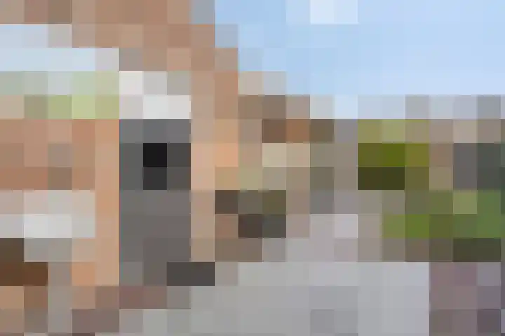 Hoge Hofstraat 3 Dodewaard thumbnail 25