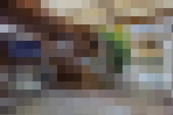 Hoge Hofstraat 3 Dodewaard thumbnail 27