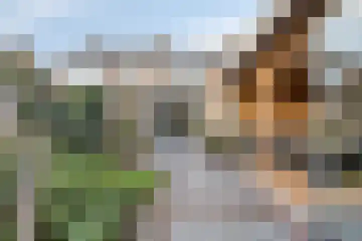 Hoge Hofstraat 3 Dodewaard thumbnail 28