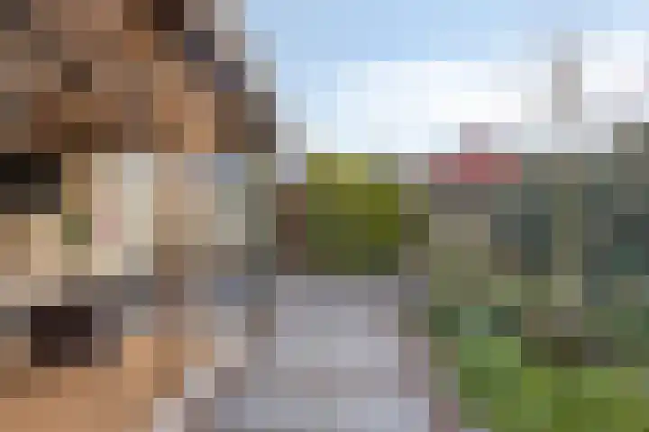 Hoge Hofstraat 3 Dodewaard thumbnail 30