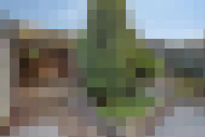 Hoge Hofstraat 3 Dodewaard thumbnail 31